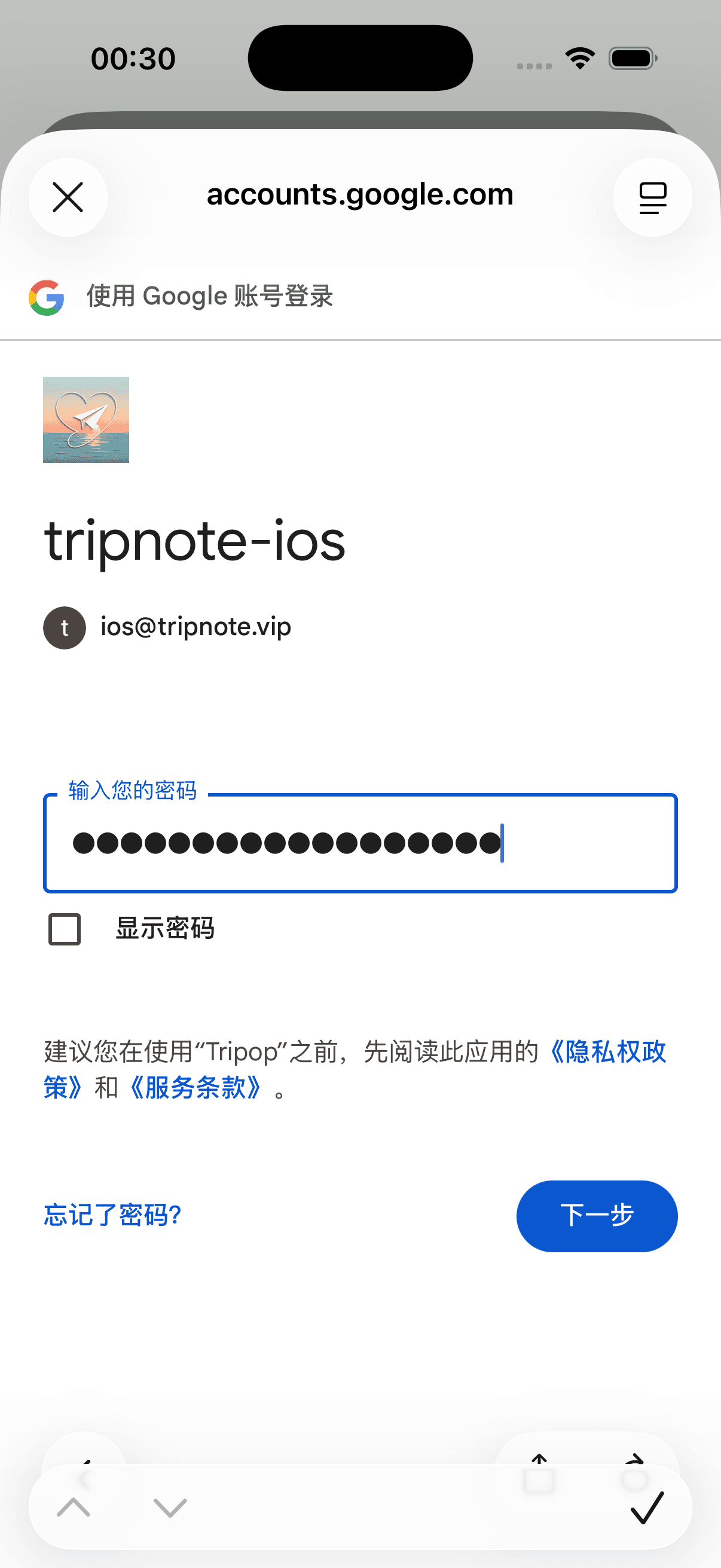 Google 账号登录界面