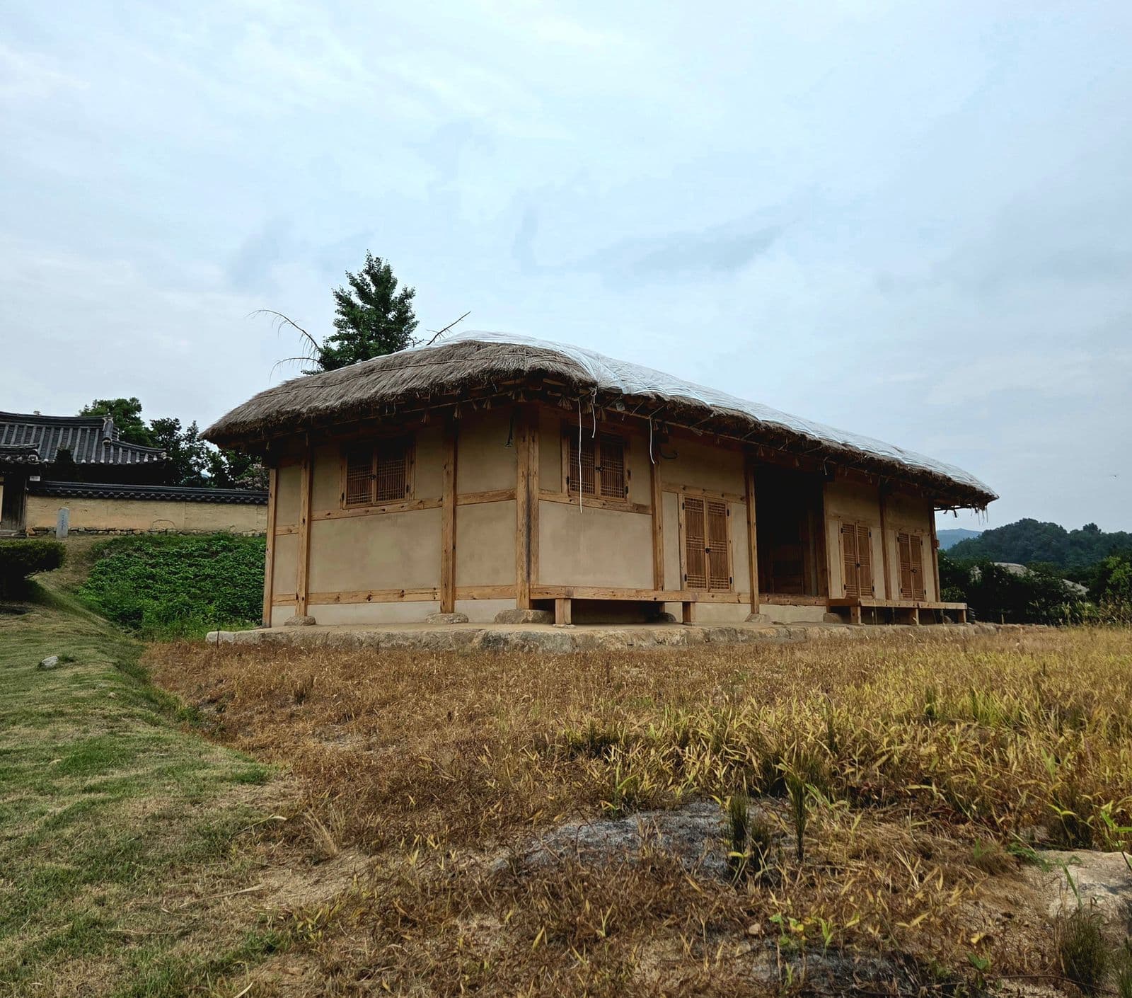 安東の藁葺きの家と後方の瓦屋根の韓屋