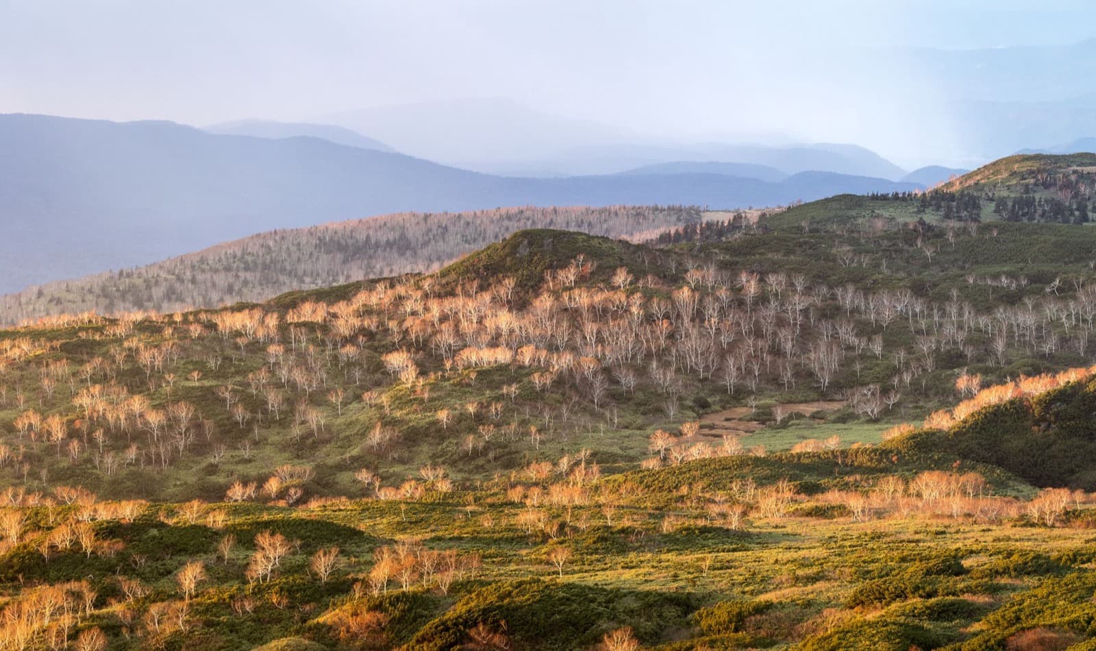 Autumn color settling over the slopes of Mt. Asahidake in the Daisetsuzan range, Hokkaido