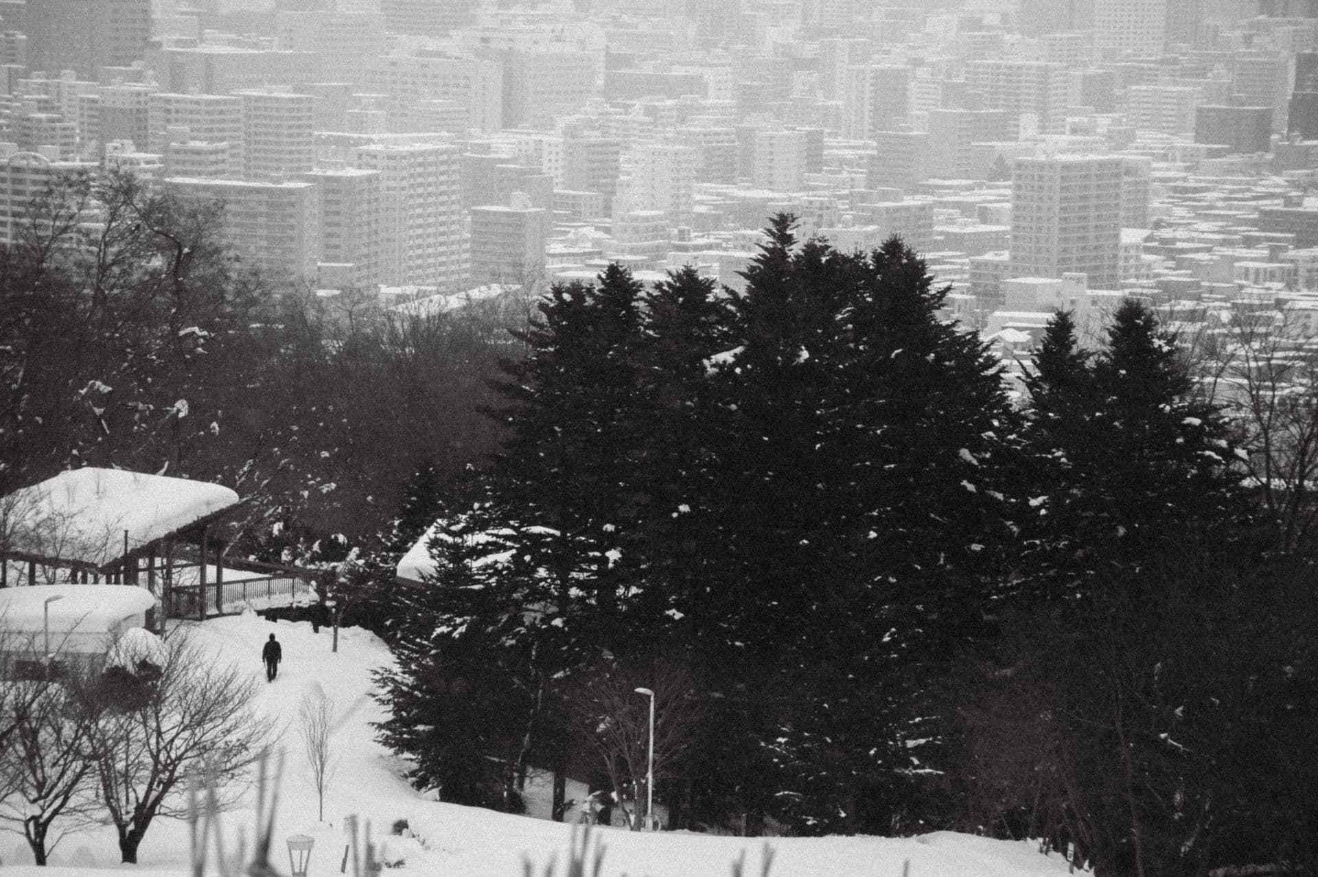 Snow-covered Sapporo cityscape seen from a hillside park path
