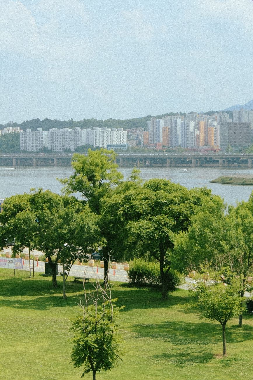 漢江と都市のスカイラインが見えるソウルの公園