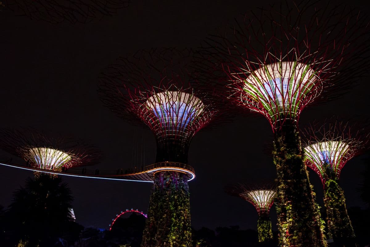滨海湾花园超级树林荫道夜间灯光秀,红白光芒点亮超级树群