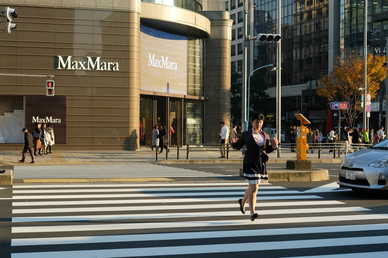 오모테산도 MaxMara 앞 거리, 도쿄 최고급 쇼핑 거리, 유럽 명품 브랜드가 줄지어 선 황금빛 오후