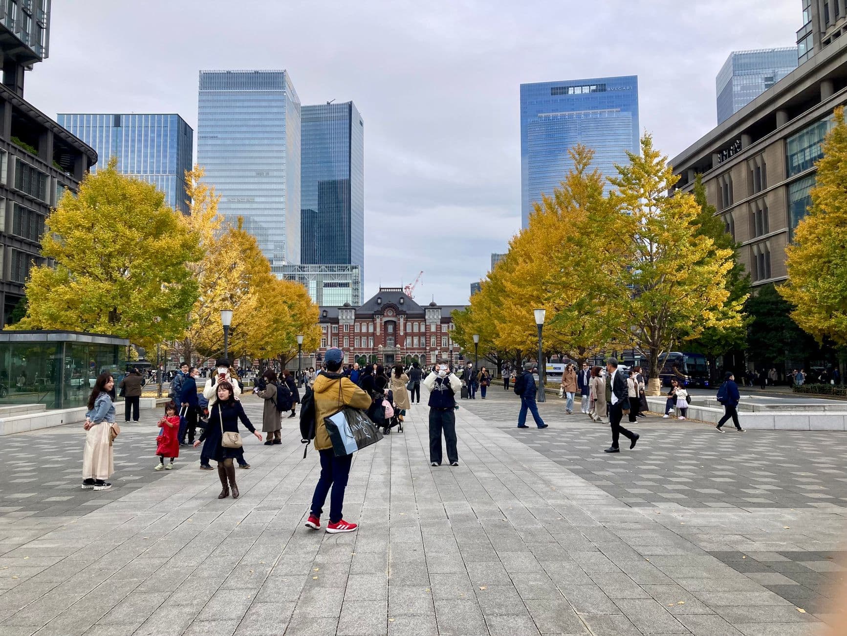 黄色いイチョウ並木の間に見える東京駅丸の内駅舎と広場の人々