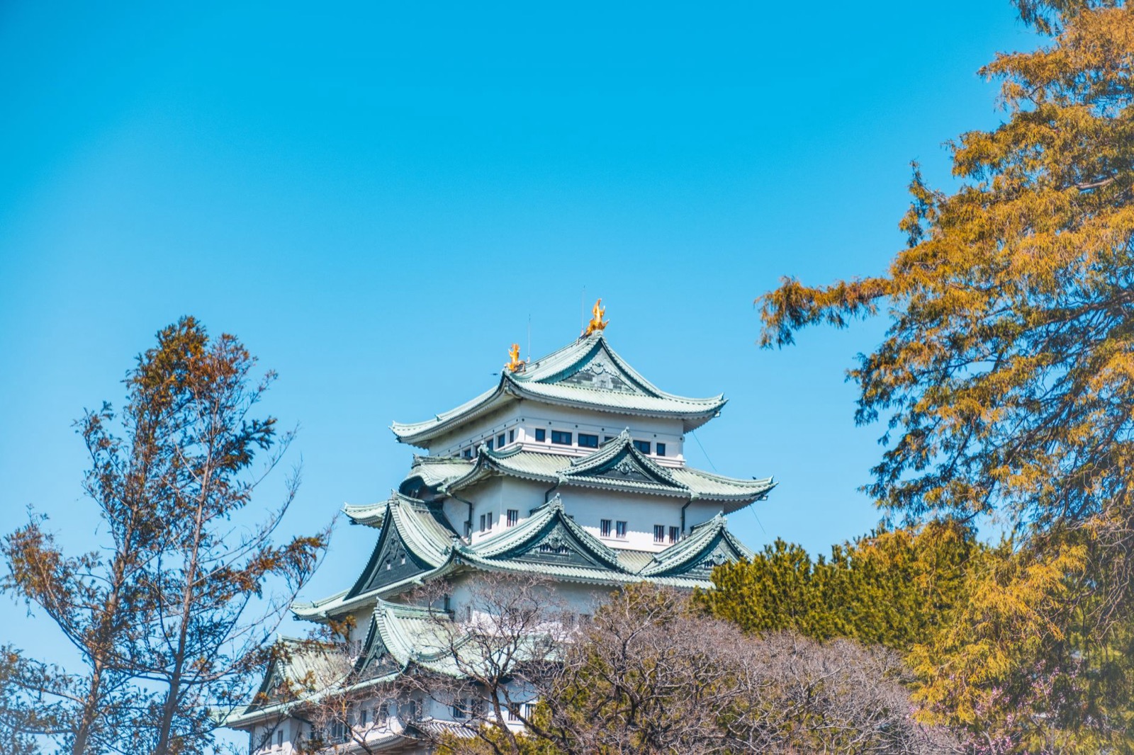 Nagoya 3-Night 4-Day Itinerary: Castle, Osu, Hitsumabushi + a Day Trip (Costs & Transport)